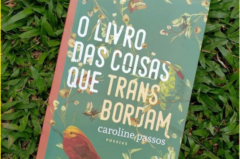 Dica de leitura