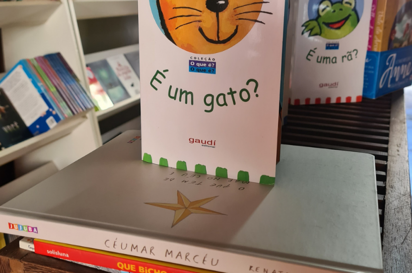 Quando devo começar a ler para o meu filho?